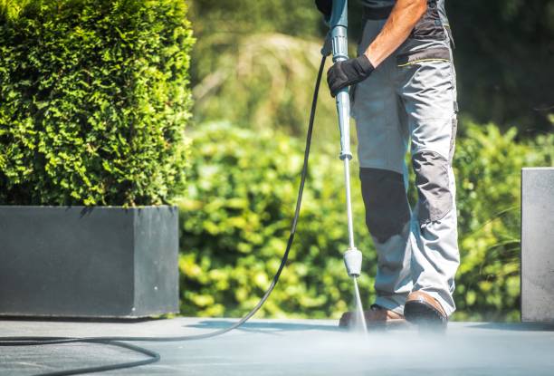 Best Driveway Pressure Washing  in Eagle Lake, FL