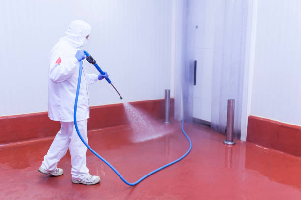 Best Warehouse Cleaning  in Eagle Lake, FL