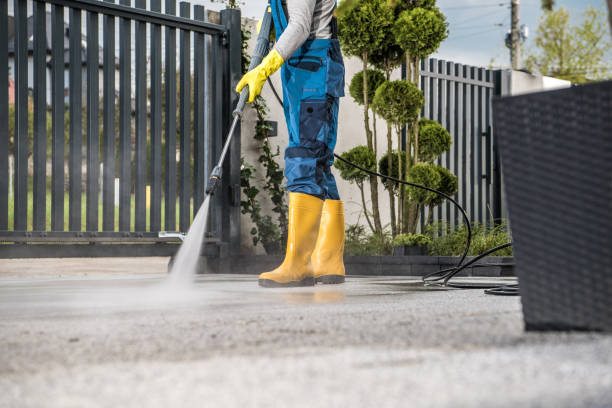 Best Gutter Cleaning  in Eagle Lake, FL